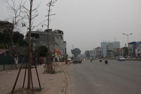Hà[-]Nội:[-]Cây[-]mới[-]trồng[-]đang[-]chết[-]hàng[-]loạt